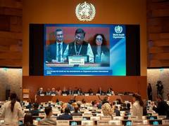 
      
      Apurva Chandra gives concluding remarks at World Health Assembly
      
      