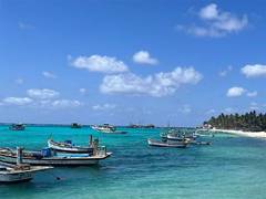 
      
      Israel Embassy asks citizens to explore Indian beaches 
      
      