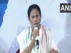 
      
      'PM Modi should resign as he has lost his credibility'
      
      