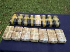 
      
      Tripura: BSF troops seize Yaba tablets worth Rs 15 cr
      
      