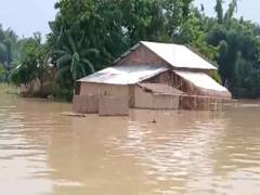 
      
      Assam floods: Death toll touches 25, over 10 districts affected
      
      