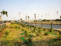 
      
      Elan Foundation Pledges to Cultivate more than 25,000 Plants
      
      