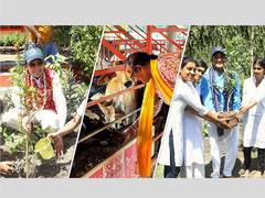
      
      Dinesh Shahra Foundation Leads Environmental Protection Efforts 
      
      