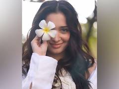 
      
      Tamannaah Bhatia enjoys Mumbai rains, posts happy selfies
      
      