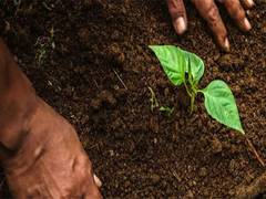 
      
      World Environment Day 2024
      
      