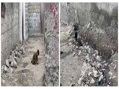
      
      POGB customs office in Hunza lacks basic facilities 
      
      