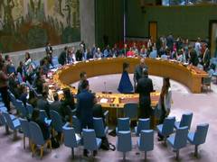 
      
      UN Security Council approves US-drafted proposal supporting Gaza
      
      