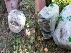 
      
      J-K: Two IEDs recovered from OGW network of slain LeT commanders 
      
      