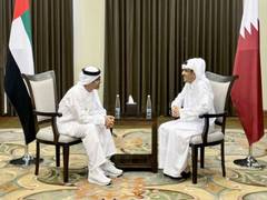 
      
       Abdullah bin Zayed meets with Qatari PM in Amman
      
      