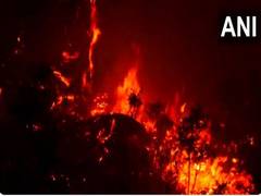 
      
      Udhampur: Kaldi forest engulfed in flames for last three days
      
      
