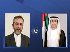 
      
      Abdullah bin Zayed, Iran's Acting Foreign Minister 
      
      