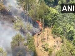 
      
      Fire breaks out at Himachal Pradesh's Solan forest
      
      
