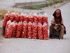 
      
      Pak: Tomato price soar to PKR 200 per kg ahead of Eid festivities
      
      