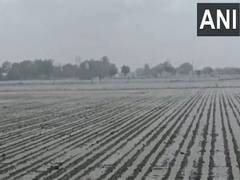 
      
      Gujarat: Rain lashes parts of Porbandar city
      
      