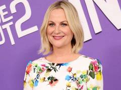 
      
      Amy Poehler expresses her love for reality TV series
      
      