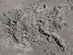 
      
      Suspicious object found outside BJP office in Kolkata 'not bomb'
      
      