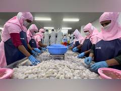 
      
      India records all-time high sea food export in FY 24
      
      