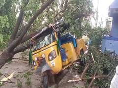 
      
      Heavy rain with gusty winds uproots several trees in Srikakulam 
      
      
