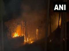 
      
      Fire in Bali-Tirci forest range continues to rage, 2 houses gutte
      
      