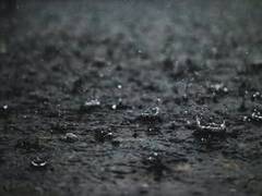 
      
      Kerala to get heavy rains this weekend, IMD issues Red alert
      
      