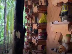 
      
      Nature lover builds eco-friendly toy house with recycled toys
      
      