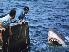 
      
      'Jaws': Nat Geo to release documentary on Steven Spielberg's film
      
      