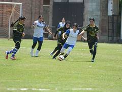 
      
      Need tournaments like RFYS to grow football: Afshan Ashiq
      
      