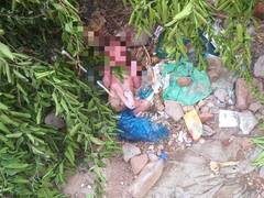 
      
      Vigilant citizen, trained dog save abandoned newborn in Ahmedabad
      
      