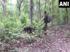 
      
      Security forces prepare to launch anti-naxal operation
      
      