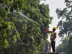 
      
      Fact Finding Committee to probe illegal cutting of trees in Delhi
      
      