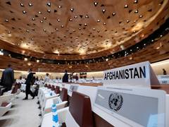 
      
      Afghan rights activist on UN-led Doha talks with Taliban
      
      