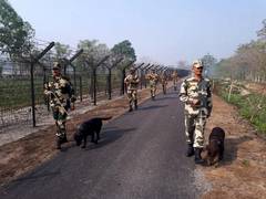 
      
      BSF seizes narcotics, rescues large number of cattle heads 
      
      