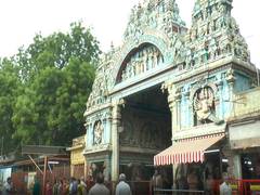 
      
      TN: Madurai’s Meenakshi Amman Temple revives sacred water ritual
      
      