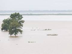 
      
      Flood situation deteriorates in Assam, over 6 lakh affected
      
      