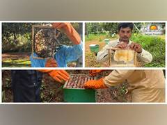 
      
      Sustaining Life: The Art of Living's Beekeeping Initiative 
      
      