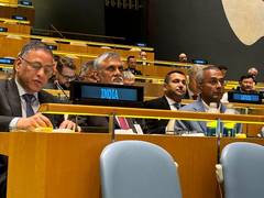 
      
      There can be no substitute for national efforts...: India at UN
      
      