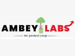 
      
      Ambey Laboratories Limited IPO Opens on July 04, 2024
      
      