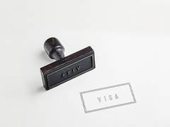 
      
      Streamlining of visas for foreigners working in non-PLI sectors
      
      