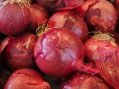
      
      Kharif onion sowing to soar by 27 per cent
      
      