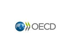 
      
      More investment is key to Africa’s growth potential: OECD
      
      