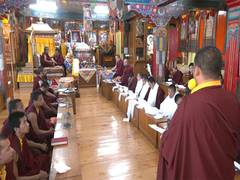
      
      Shimla: Tibetan monks-in-exile celebrate Dalai Lama's birthday 
      
      