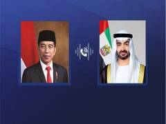 
      
      UAE and Indonesian Presidents discuss bilateral relations 
      
      