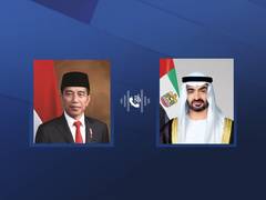 
      
      UAE and Indonesian Presidents discuss bilateral relations
      
      