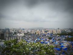 
      
      Bengaluru to see 10-15 pc rise in demand and sales of residential
      
      