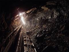 
      
      India needs to develop mineral strategy
      
      