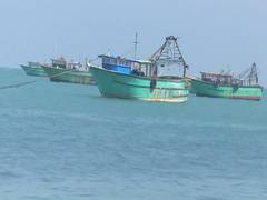 
      
      Sri Lankan Navy apprehends 13 Indian fishermen, seizes three boat
      
      