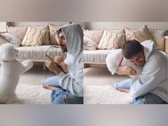 
      
      Kartik Aaryan shares playful video with his pet pooch Katori
      
      