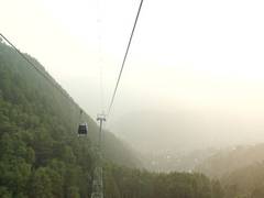 
      
      Udhampur Forest Division uses cable cars to disperse seed balls
      
      