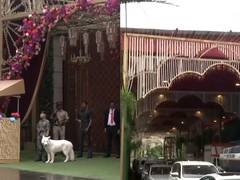 
      
      Ambani wedding: Mumbai decked up with lights
      
      