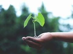 
      
      DDA organises plantation drive at several places in capital
      
      